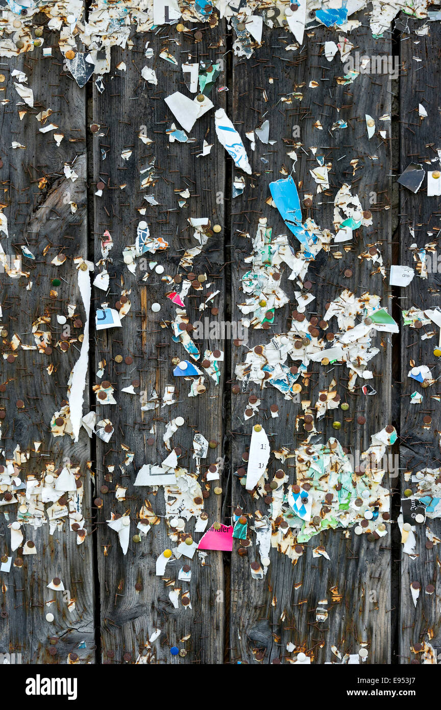 Wooden wall with poster scraps, tacks and staples, Germany Stock Photo