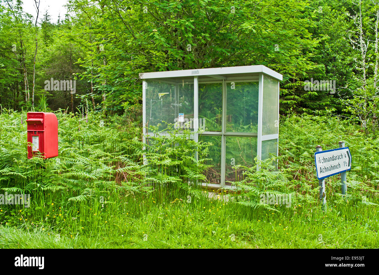 Post box and shabby little-used bus shelter surrounded by tall bracken and grass at road junction in woodland near Plockton Stock Photo