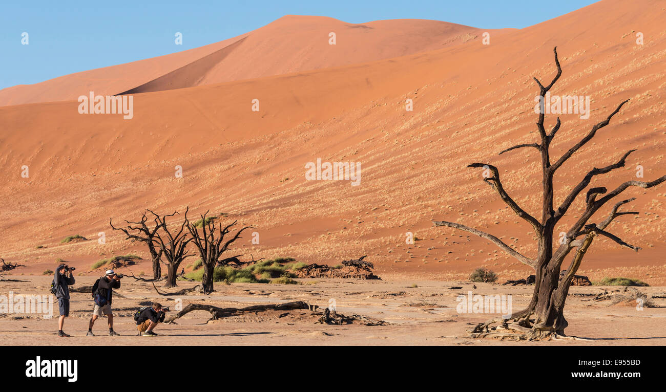 Three Tourists photographing a dead tree in the salt and clay pan, Deadvlei, Sossusvlei, Namib Desert, Namibia Stock Photo