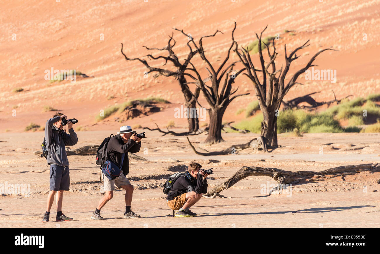 Three hikers photographing a dead tree in the salt and clay pan, Deadvlei, Sossusvlei, Namib Desert, Hardap Region, Namibia Stock Photo