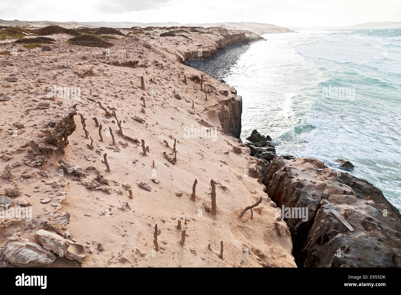 Fulgurites on the sandy cliffs of Praia de Boa Esperanca Beach, sand tubes fused by lightning, the formations stand out from the Stock Photo