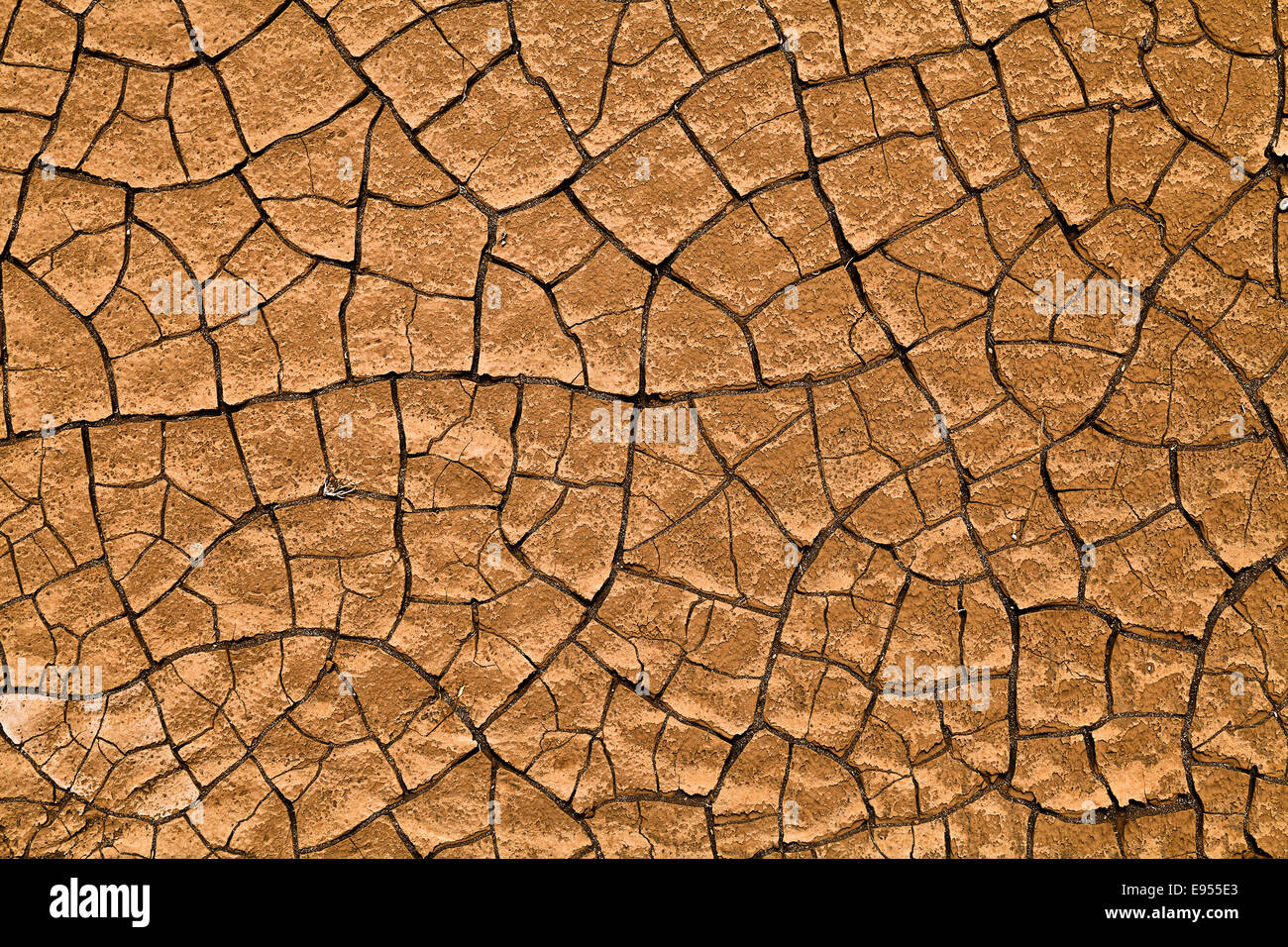 Mud structure, cracked crust of a dried up waterhole, island of Boa Vista, Cape Verde, Republic of Cabo Verde Stock Photo