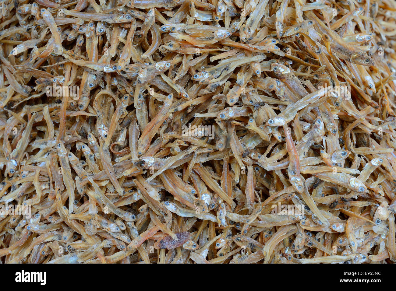 Dried fish at a market, Singaraja, North Bali, Bali, Indonesia Stock