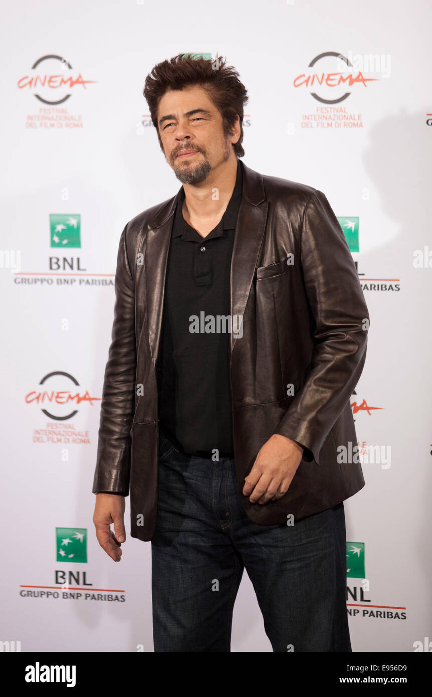 Get Benicio del toro frau Desktop Wallpaper Benicio Del Toro Frau