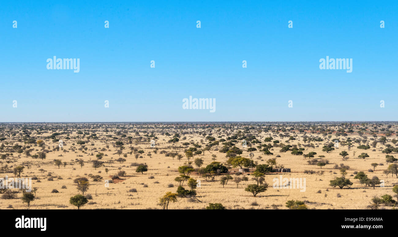 Wide landscape with trees, Kalahari, Namibia Stock Photo - Alamy