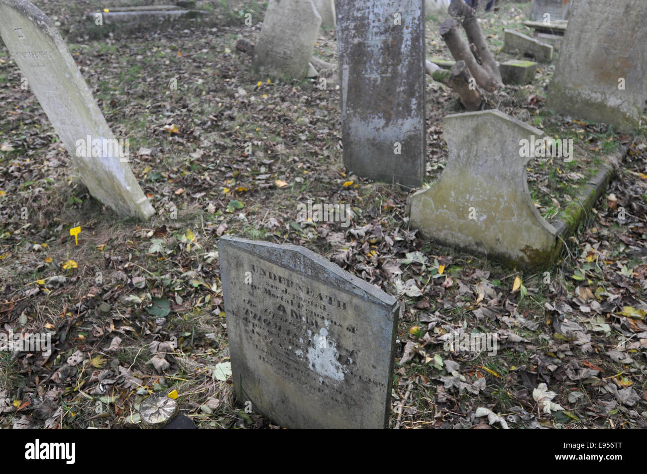 The Dissenters Cemetery ( the Congregationalist Cemetery) at Ponsharden, Falmouth, UK Opened 1808 abandoned 1930's Stock Photo