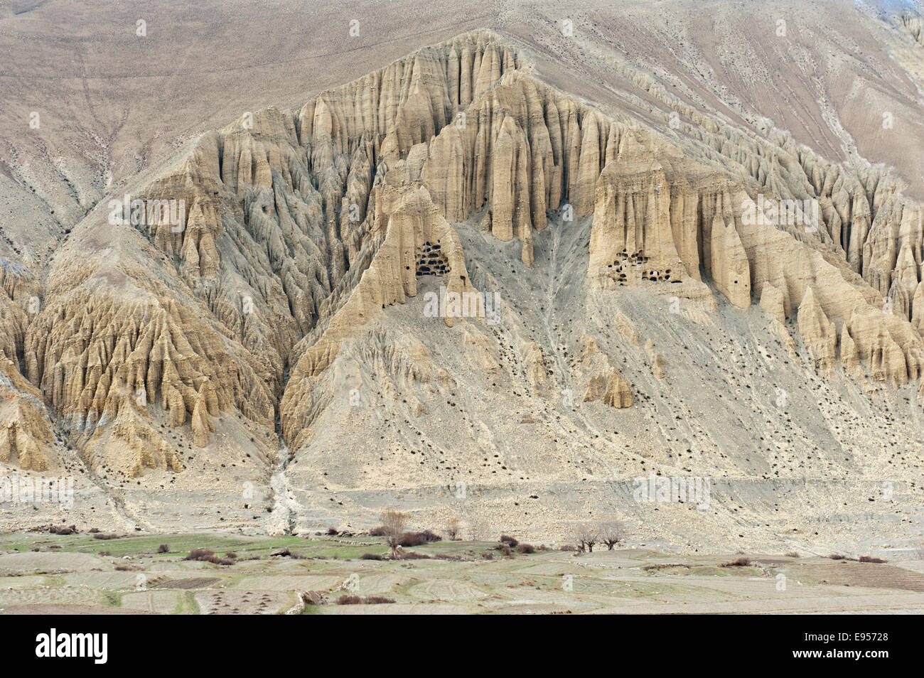 Prehistoric landscape hi-res stock photography and images - Alamy