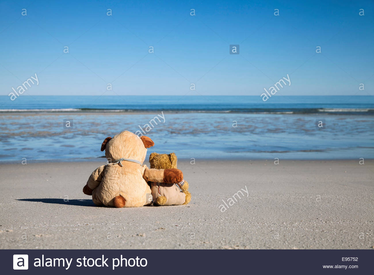 2 teddy bears hugging each other