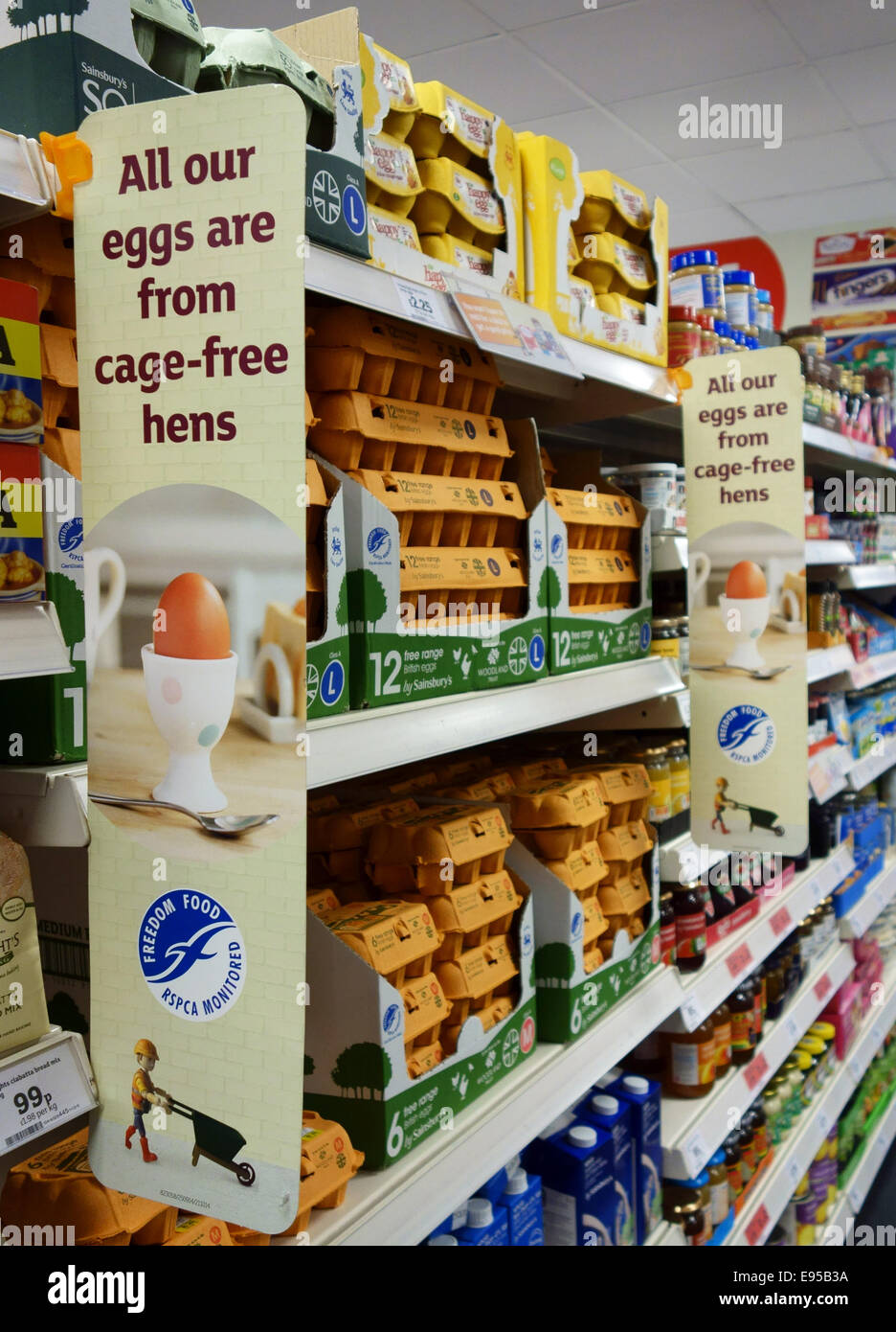 Eggs from cagefree hens on sale in branch of Sainsbury's supermarkets, London Stock Photo Alamy