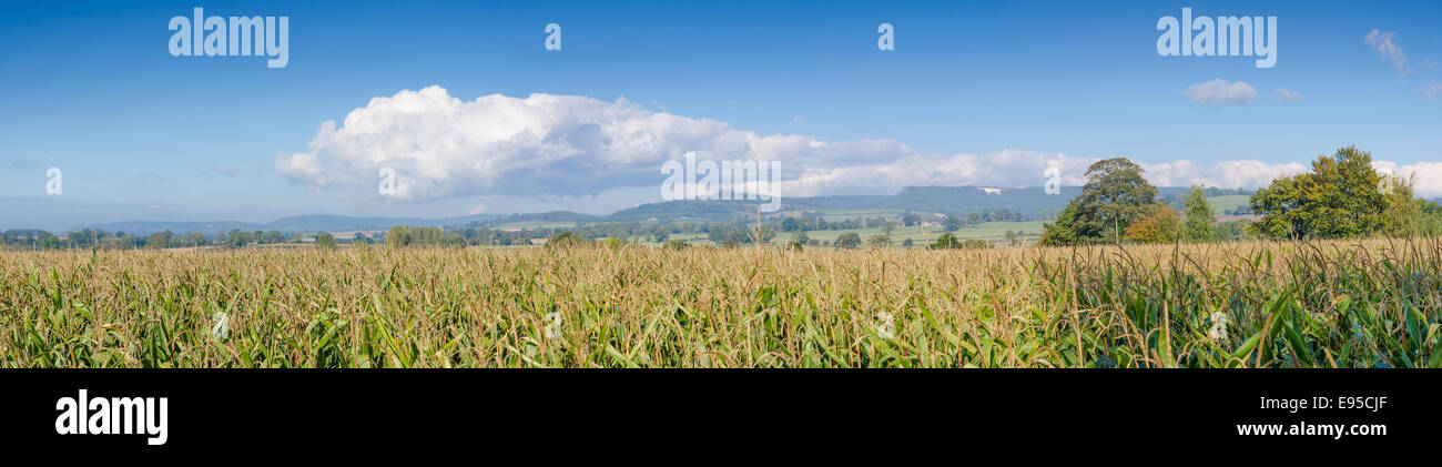 Panoramic view of the White Horse in the Vale of York Stock Photo