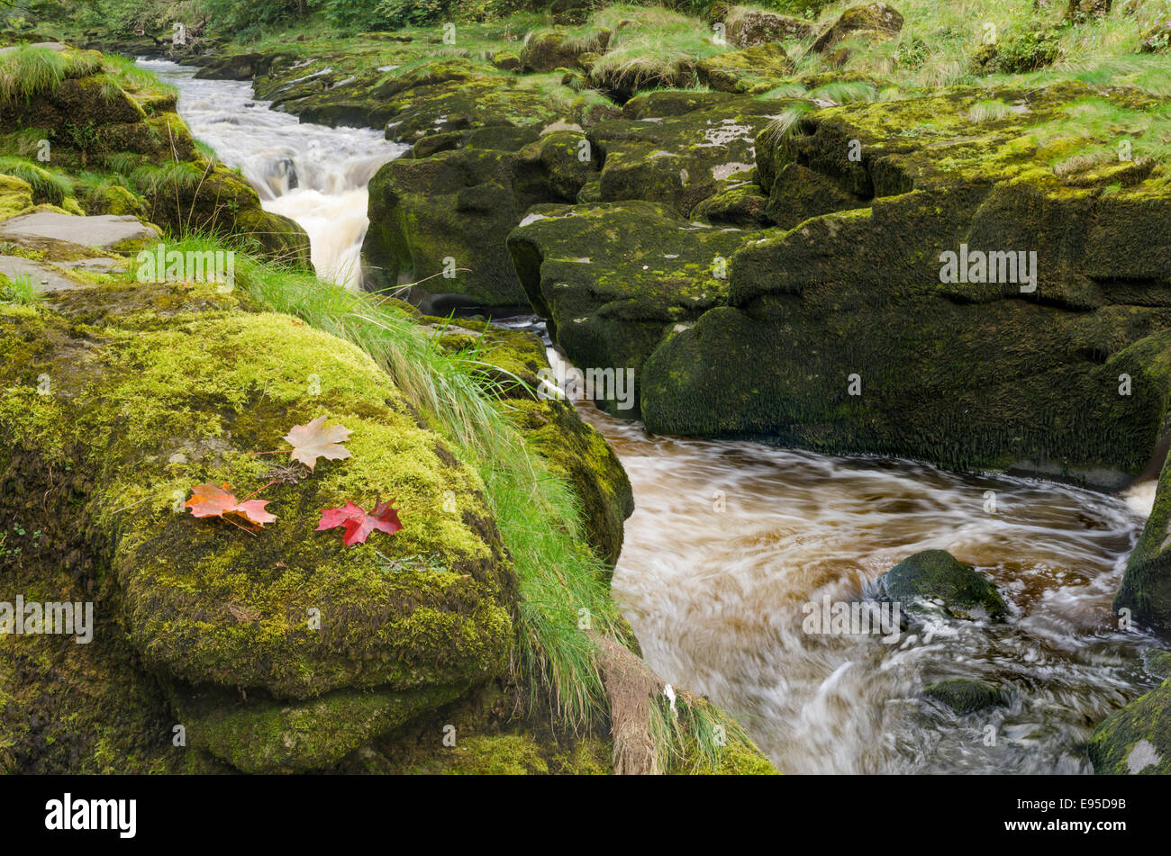 The Strid in Wharfedale Stock Photo