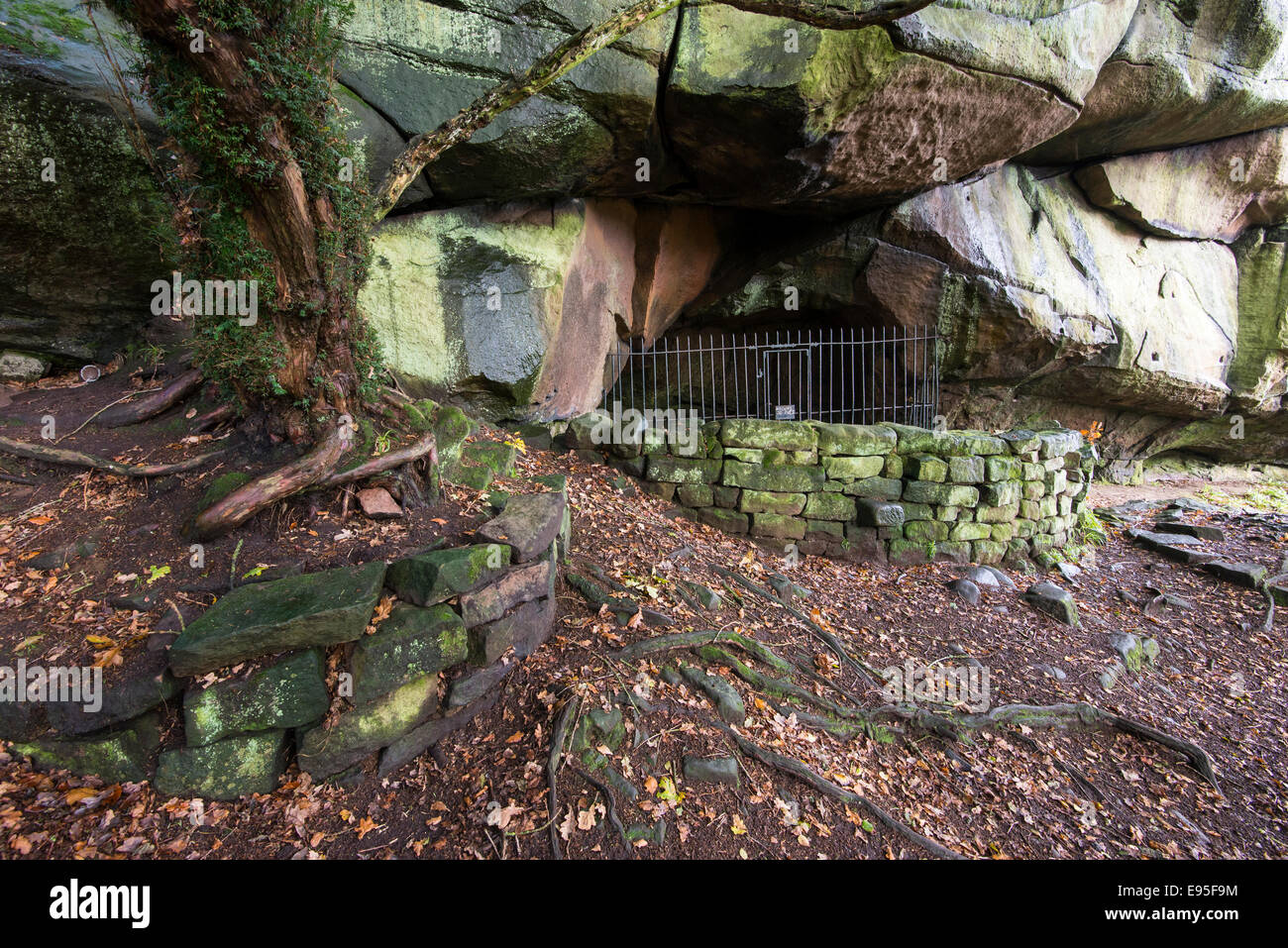 cave tor porn cave tor porn