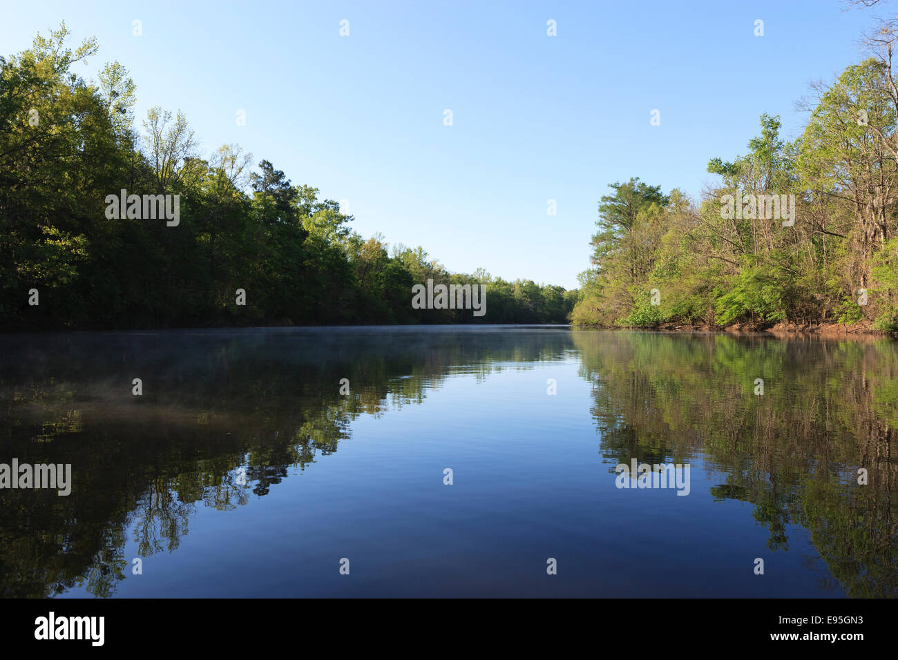 Bates Old River with greening vegetation in spring.  Congaree National Park, South Carolina, spring. Stock Photo