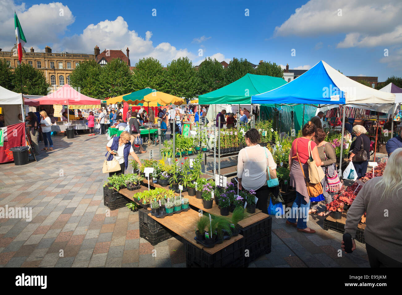 Plant stalls at a busy Salisbury Market in the market square on a sunny day Stock Photo