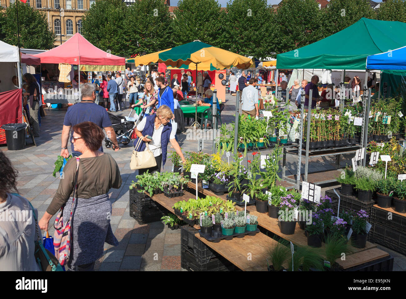 Plant stalls at a busy Salisbury Market in the market square on a sunny day Stock Photo