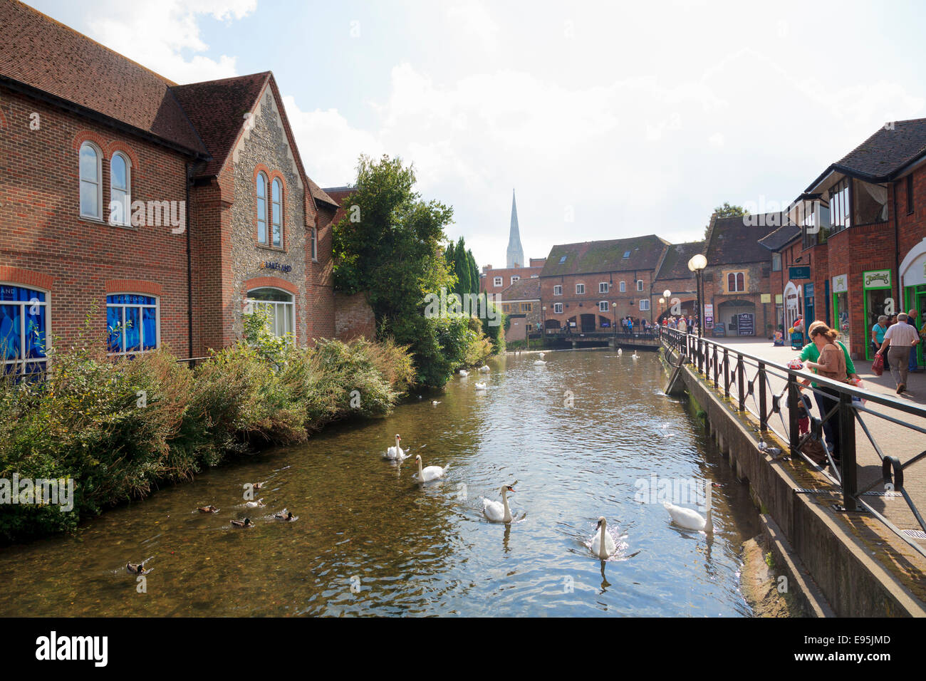 Swans on the River Avon running through The Maltings shopping Centre in Salisbury Stock Photo