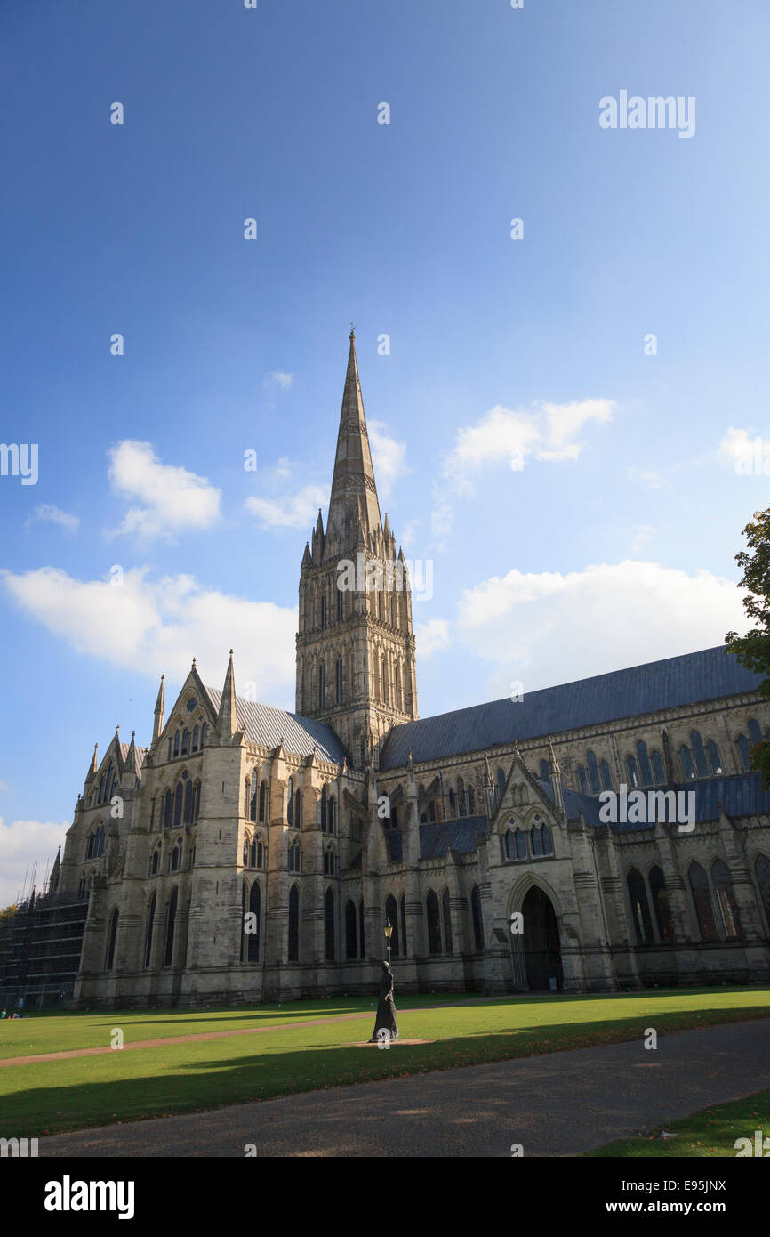 North facade of Salisbury Cathedral and spire Stock Photo
