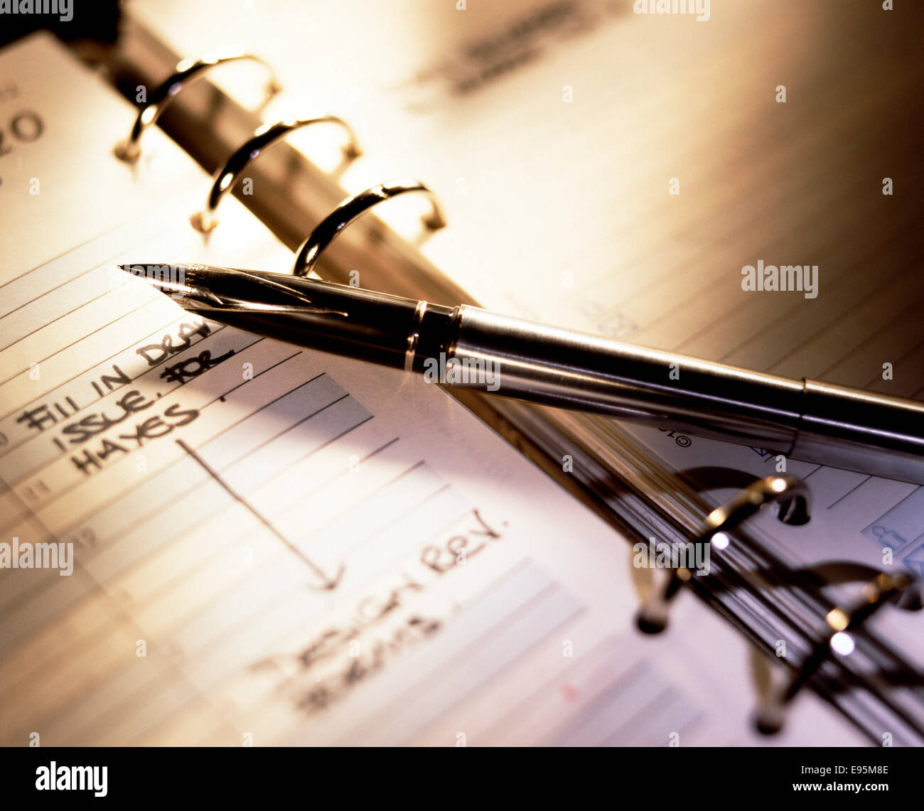 Pen and personal organiser image Stock Photo Alamy