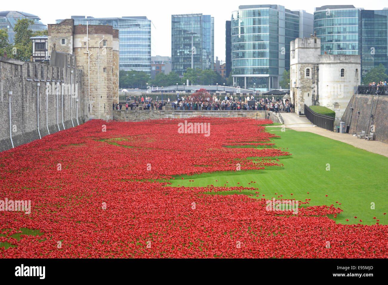Ceramic poppies in the moat surrounding the Tower of London, London, UK. Stock Photo