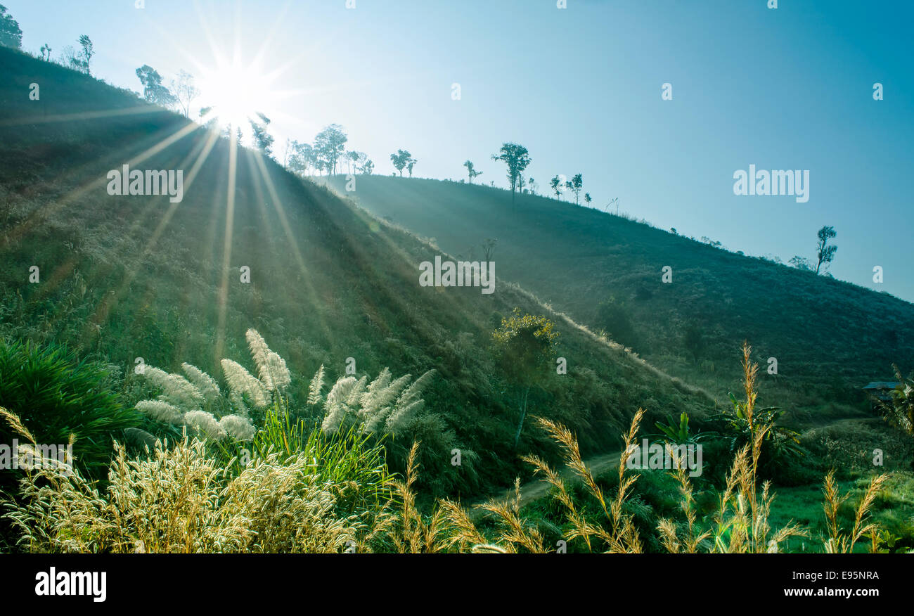 The Sunbeam and Soft Mist over Country Hill Landscape in the Morning. Stock Photo