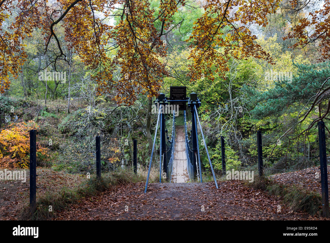 Wynch Bridge in Autumn, Upper Teesdale County Durham England UK Stock Photo