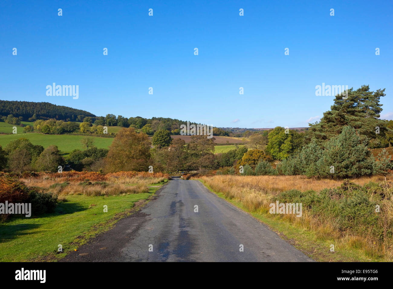 The scenic country road into Farndale on the North York moors, England with woodland trees and moorland in autumn. Stock Photo