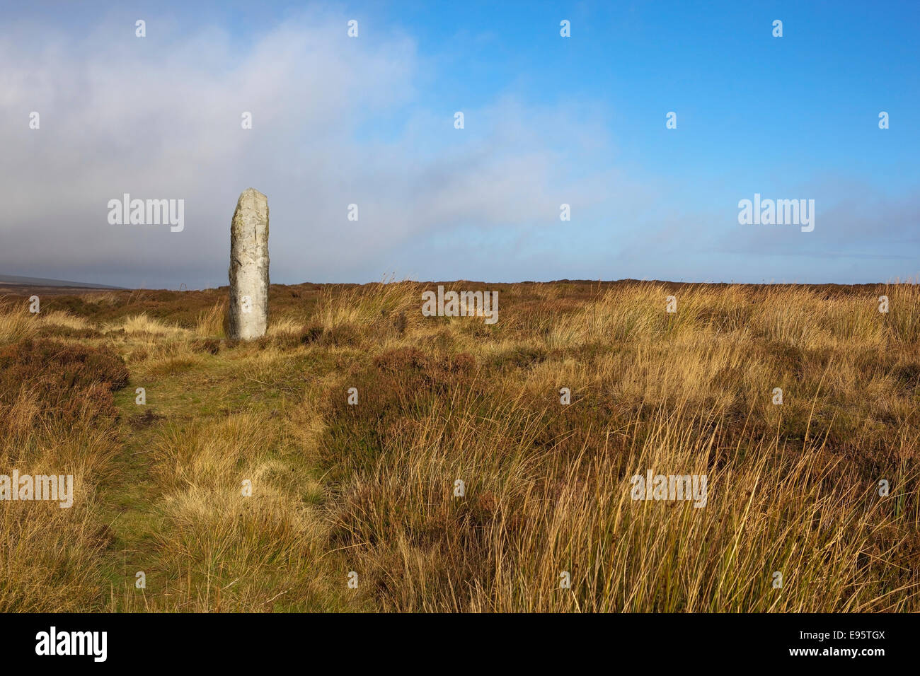 An old standing stone on moorland grasses and reeds on Danby moor on the North York moors in England Stock Photo