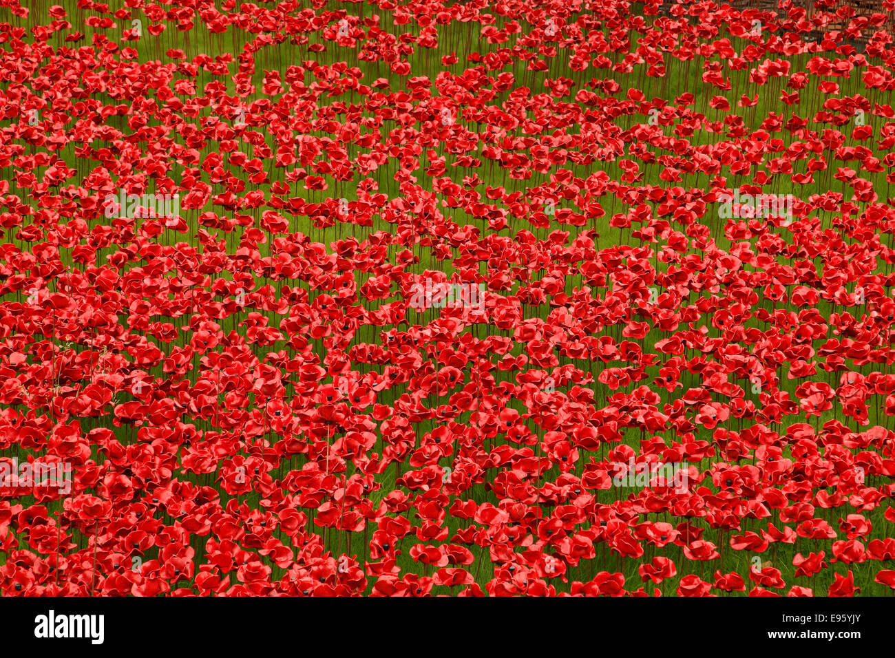 Blood Swept Lands and Seas of Red at Tower of London 2014 Stock Photo