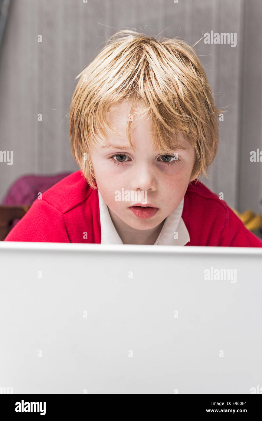 Young, five year old, boy concentrates on a laptop screen Stock Photo