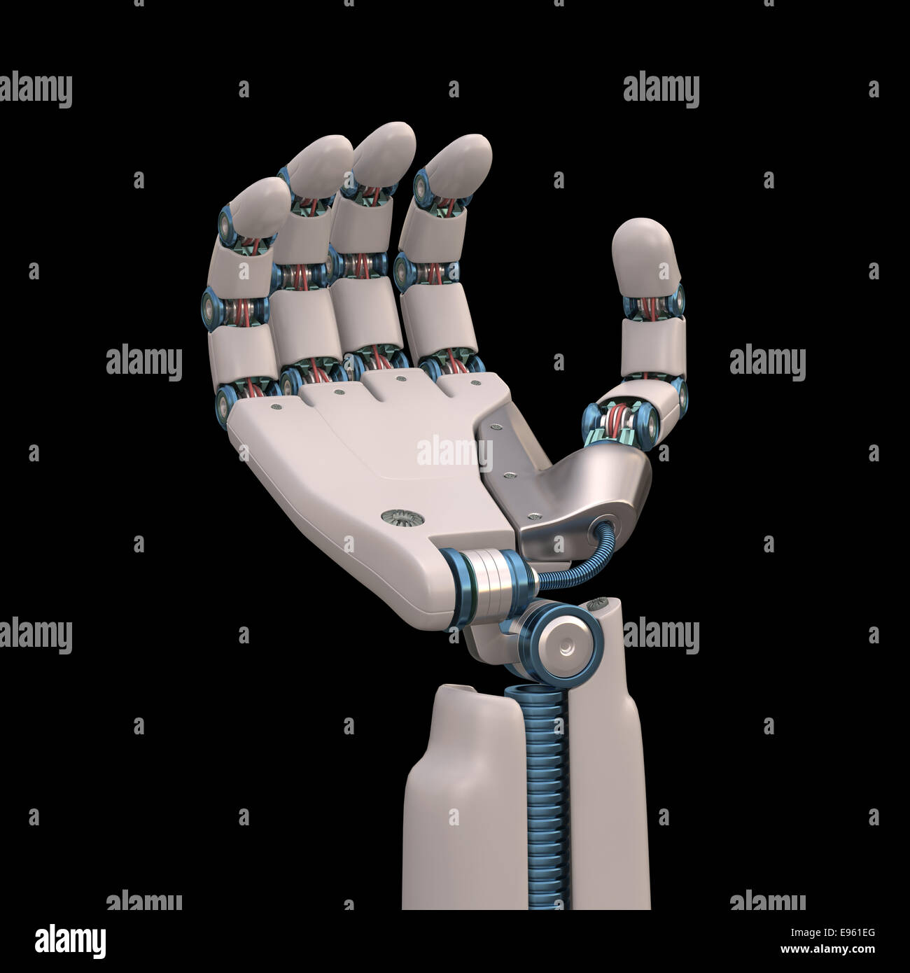 Robotic hand shaped and measures that mimic the human skeleton. Clipping path included. Stock Photo