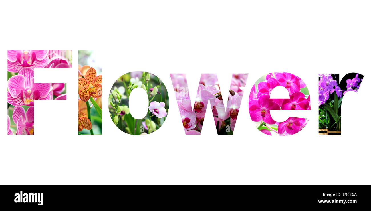 word flower on white background Stock Photo 74506834 Alamy