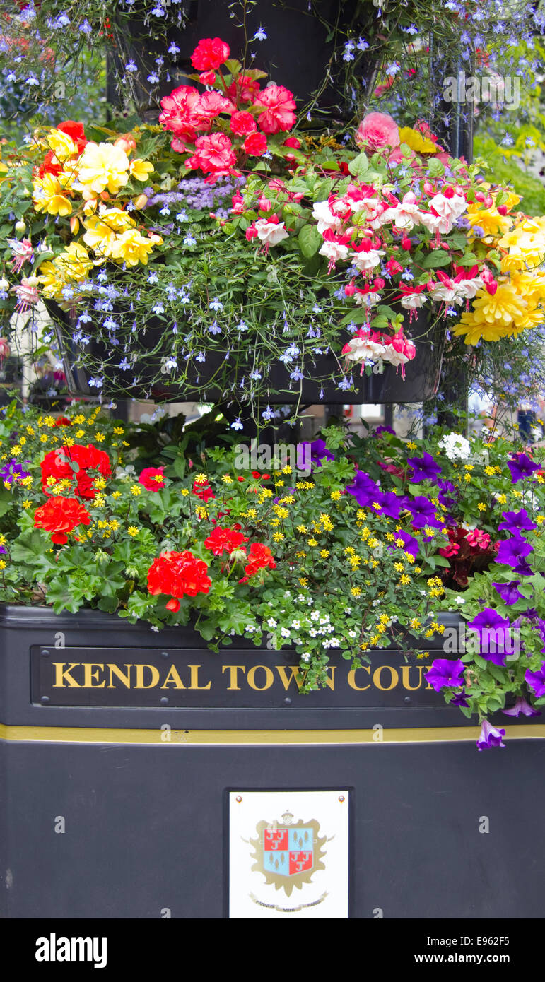 Flowers in Kendal, Lake District, Cumbria, UK Stock Photo Alamy