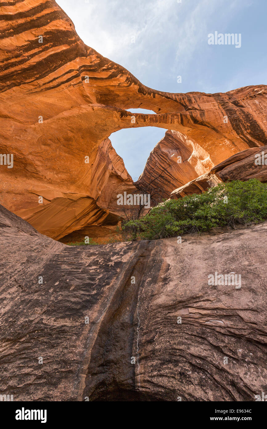 Brimhall Bridge, Capitol Reef National Park, Utah Stock Photo Alamy