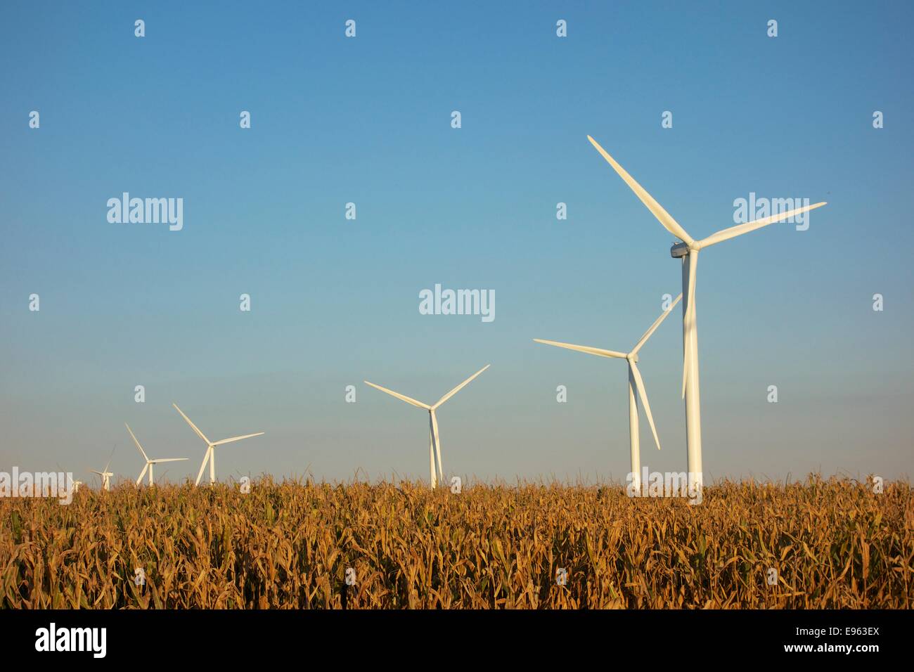 Indiana blades hires stock photography and images Alamy