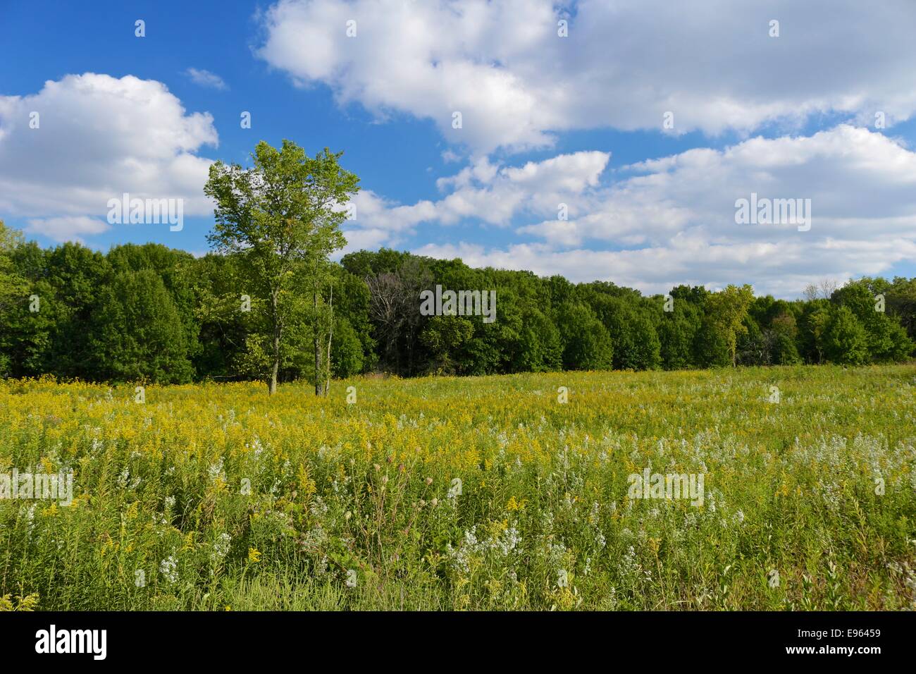 High Creek Fen Preserve  The Nature Conservancy in Colorado