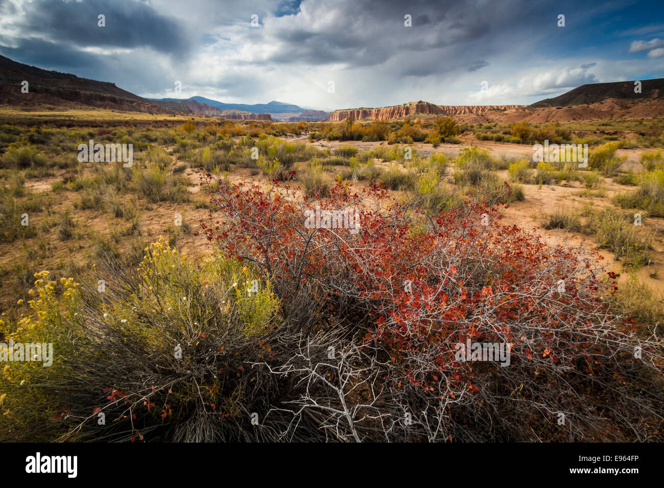 Cathedral Valley, Capitol Reef National Park, Utah Stock Photo - Alamy