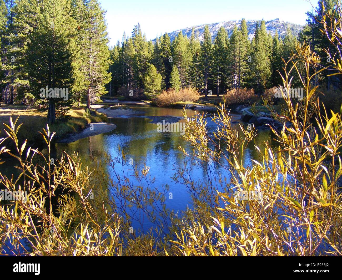 LOOKING THROUGH FALL GOLDEN COLOR AT JENKS LAKE Stock Photo Alamy