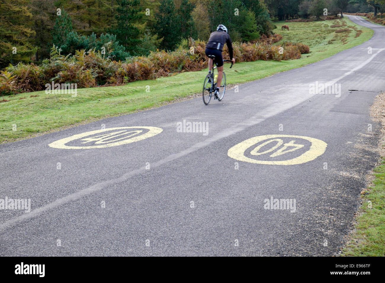 Cyclist riding in a 40 MPH speed limit zone on a deserted road in the New forest Hampshire UK Stock Photo
