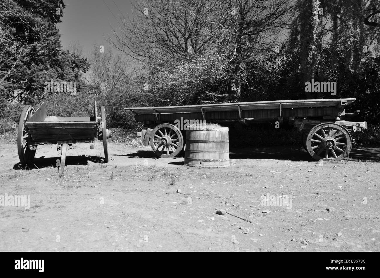 Old ox wagon on a farm in the Eastern Cape, South Africa Stock Photo