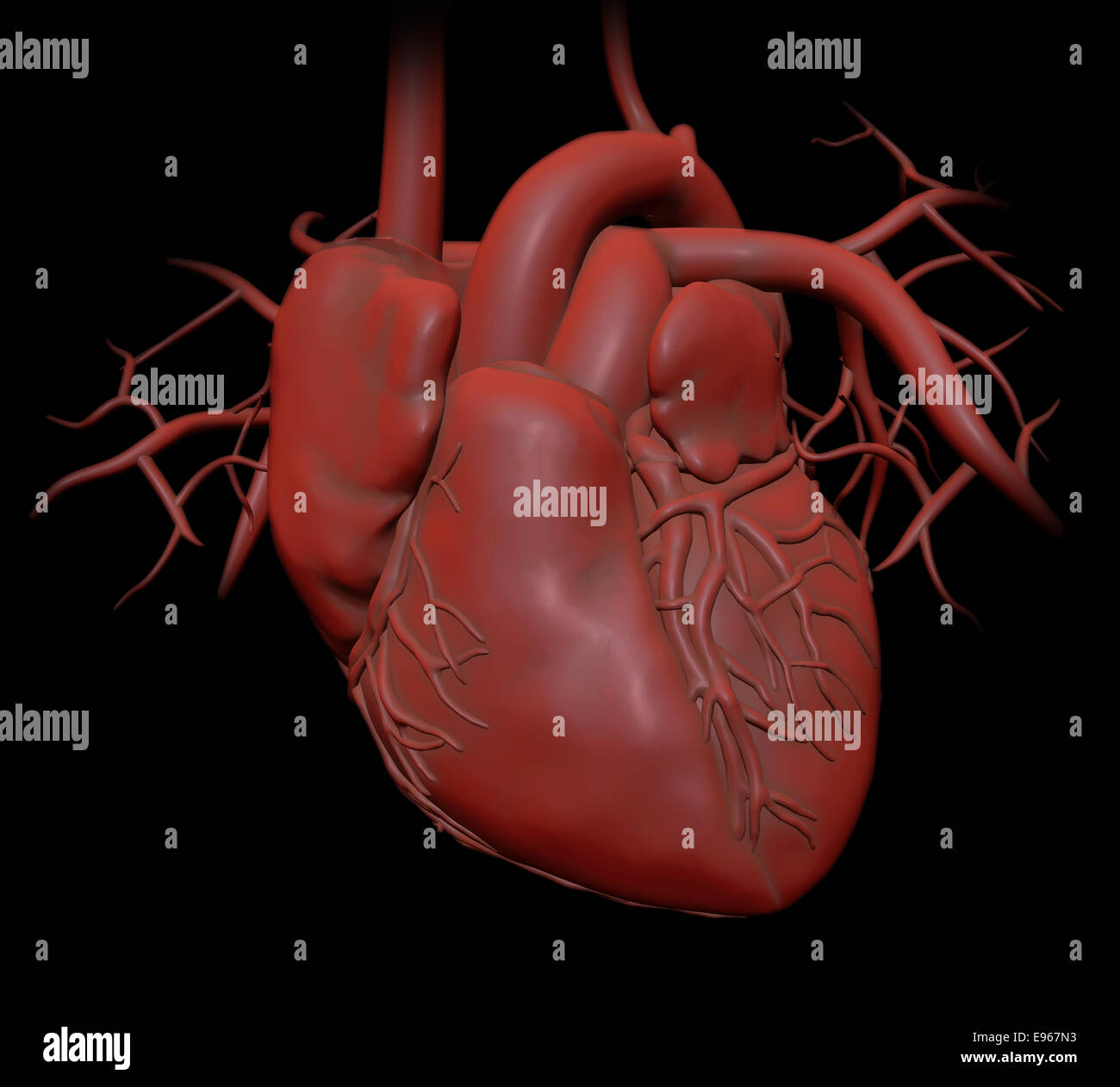 Human heart - cardiology health care illustration Stock Photo