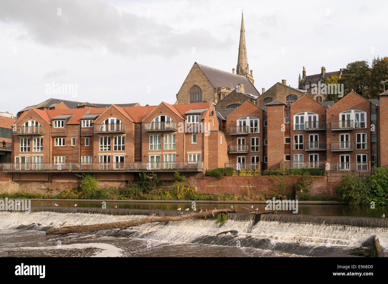 Housing development on the bank of the river Wear at Durham city, north east England, UK Stock Photo