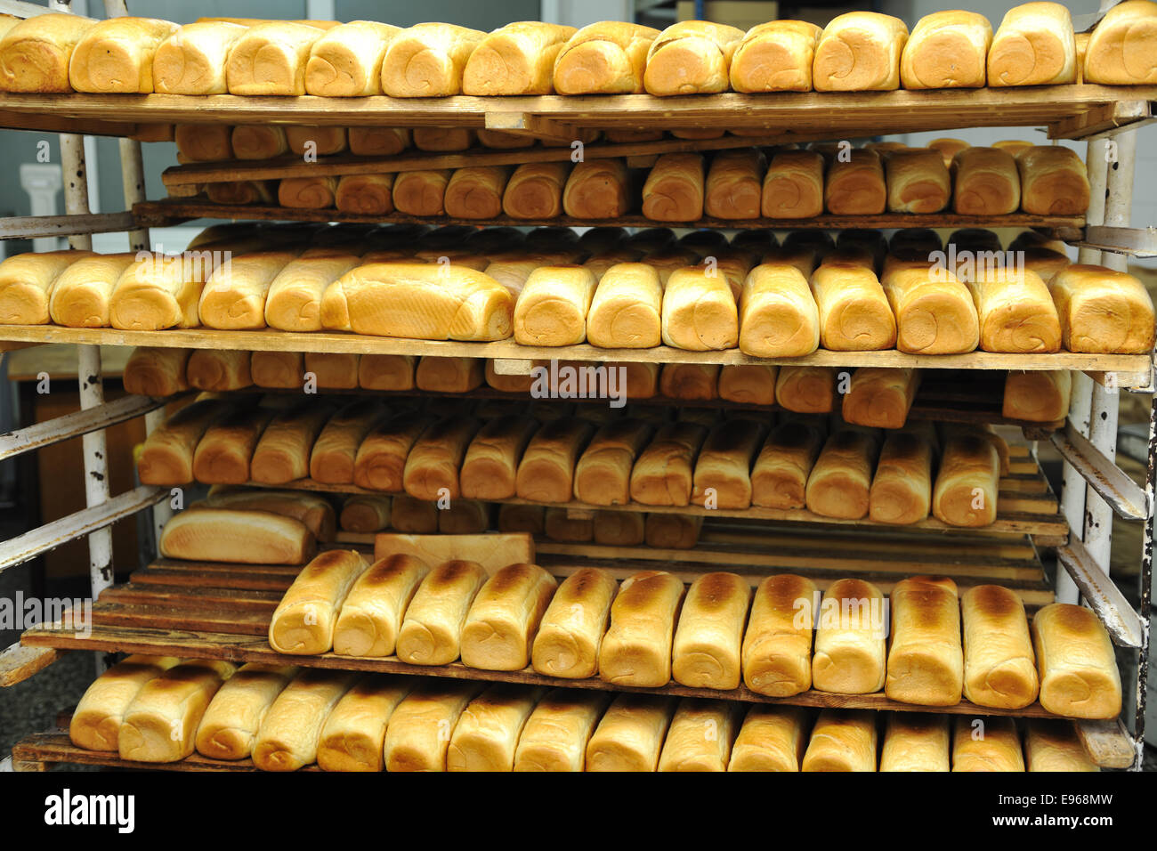 bread factory production Stock Photo - Alamy