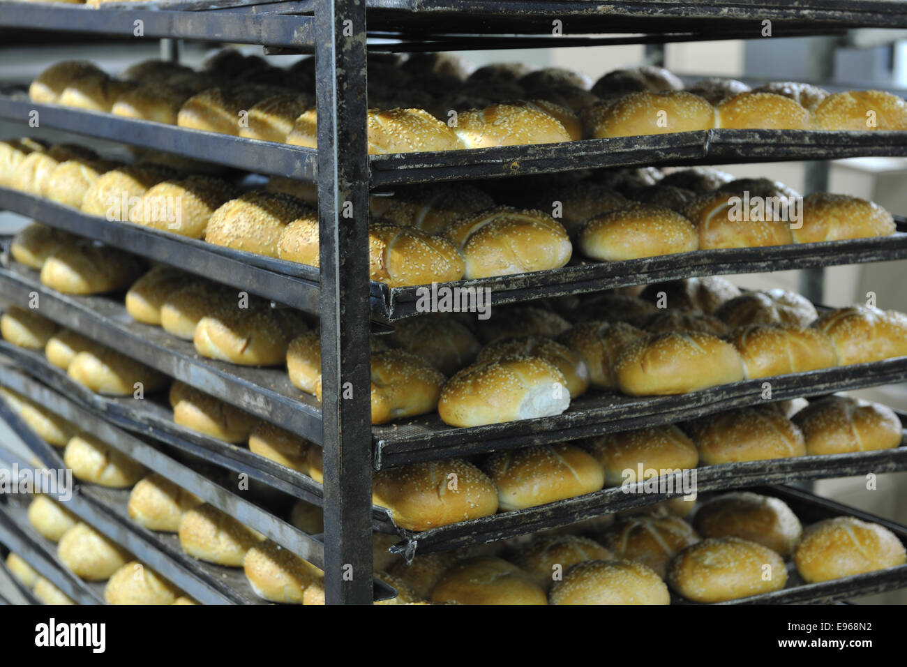 bread factory production Stock Photo - Alamy