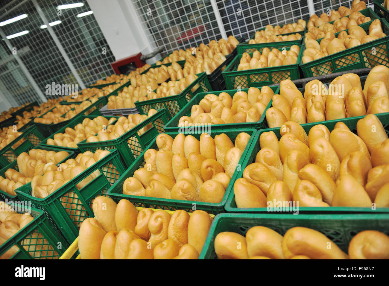bread factory production Stock Photo Alamy