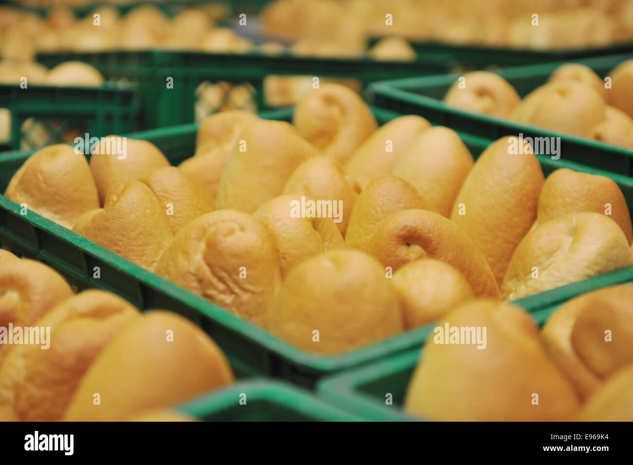 bread factory production Stock Photo Alamy