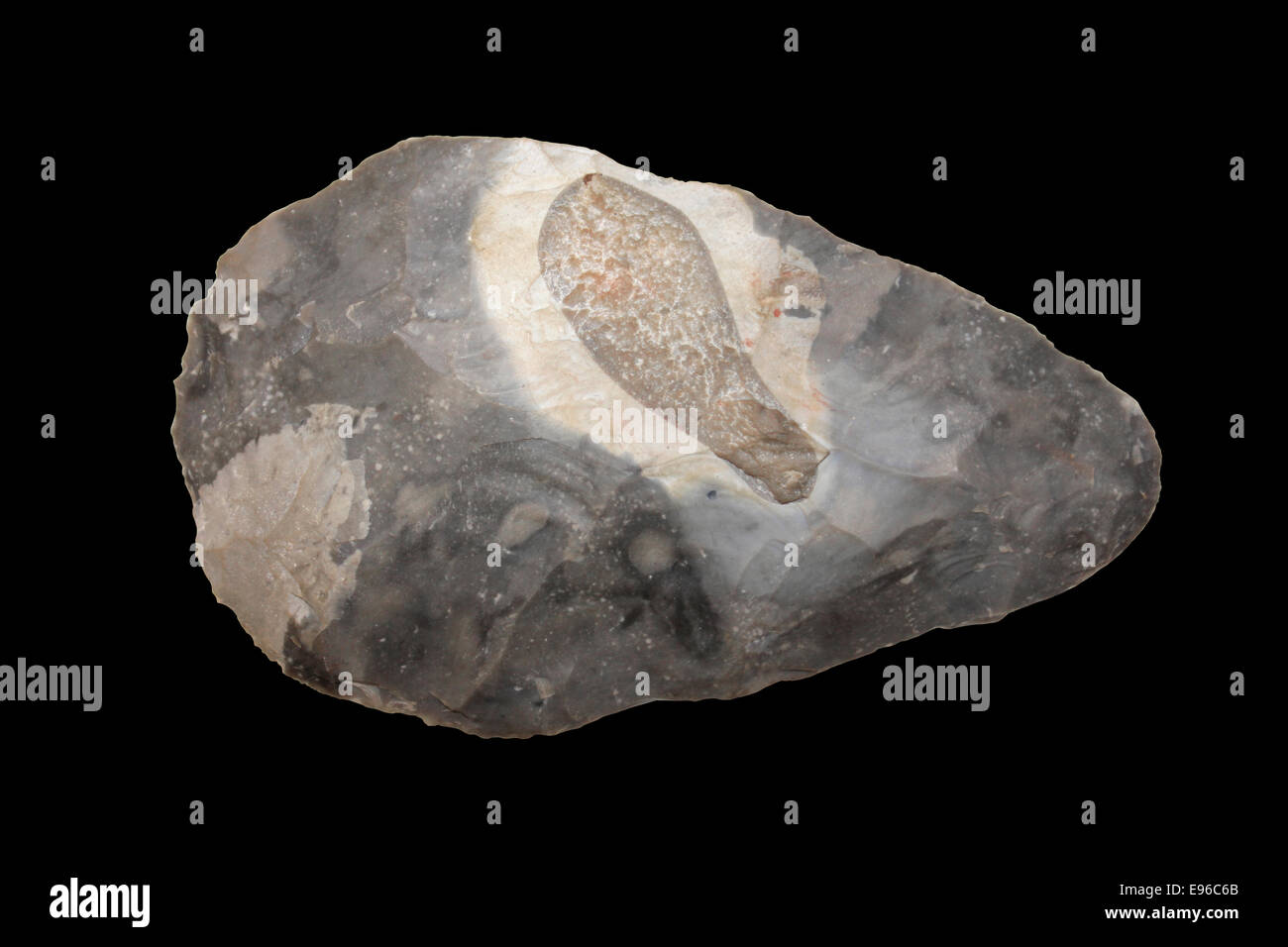 Flint Hand Axe With Belmenite Fossil Stock Photo