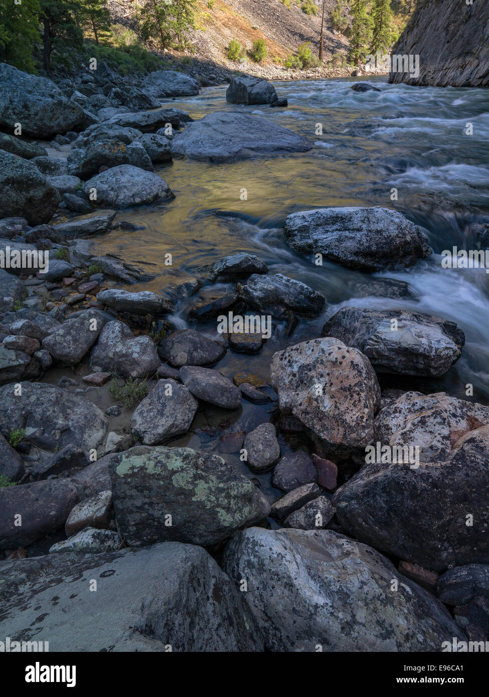 Tumble Creek pushes large boulders into the MF of the Salmon River forming Cliff Side Rapids. Stock Photo
