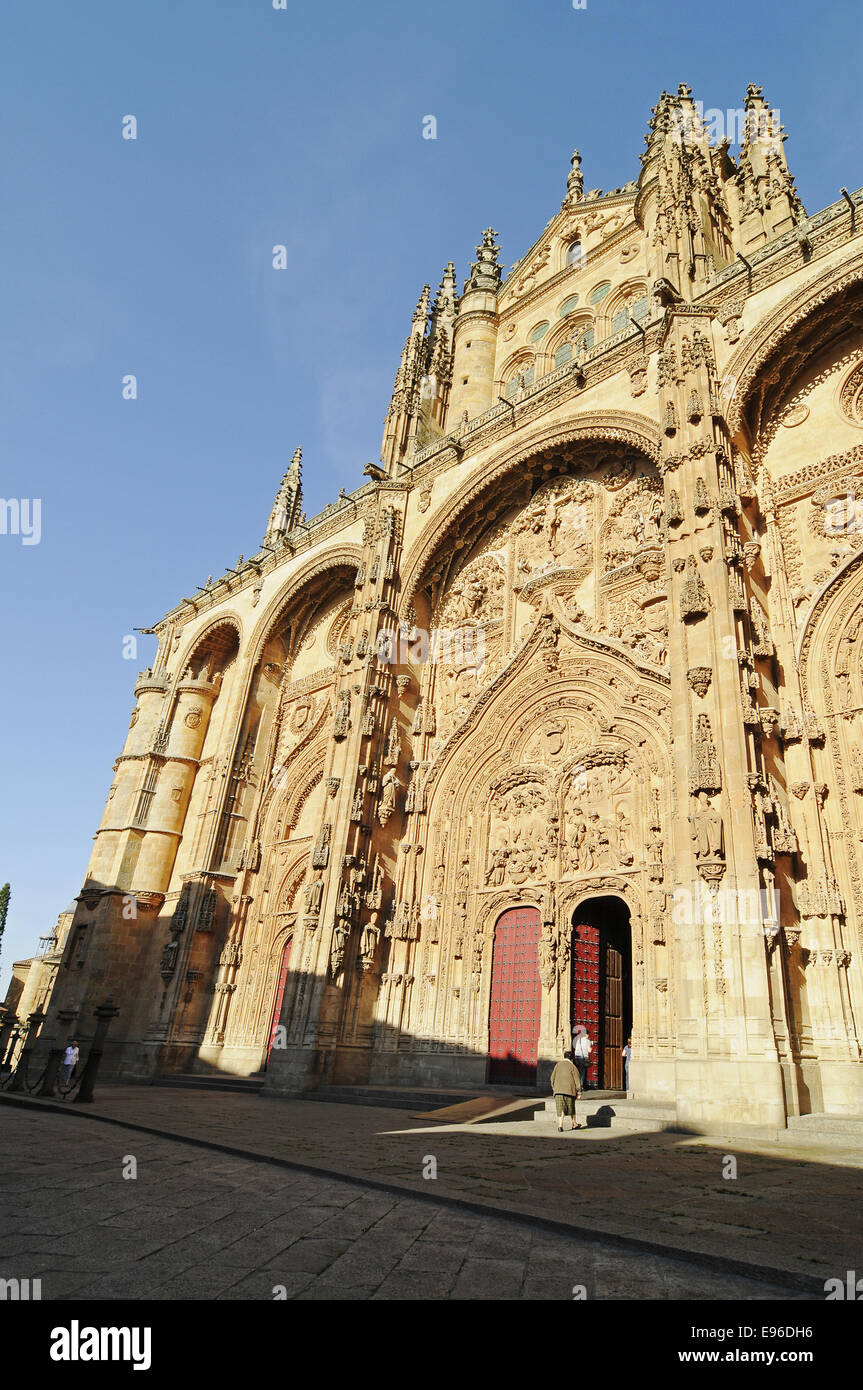 new Cathedral, Salamanca, Spain Stock Photo