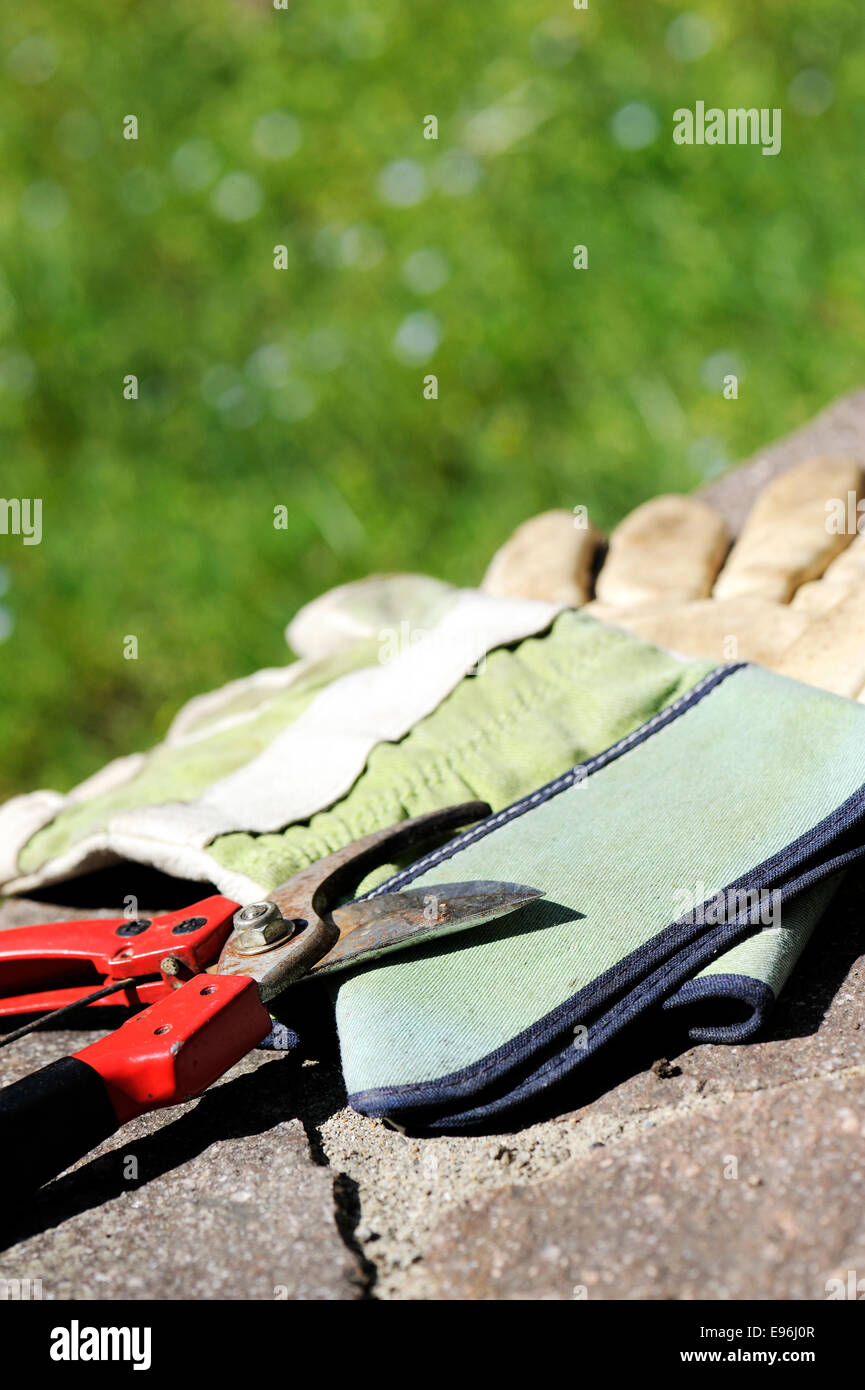 gardening tools, shears with gloves Stock Photo Alamy