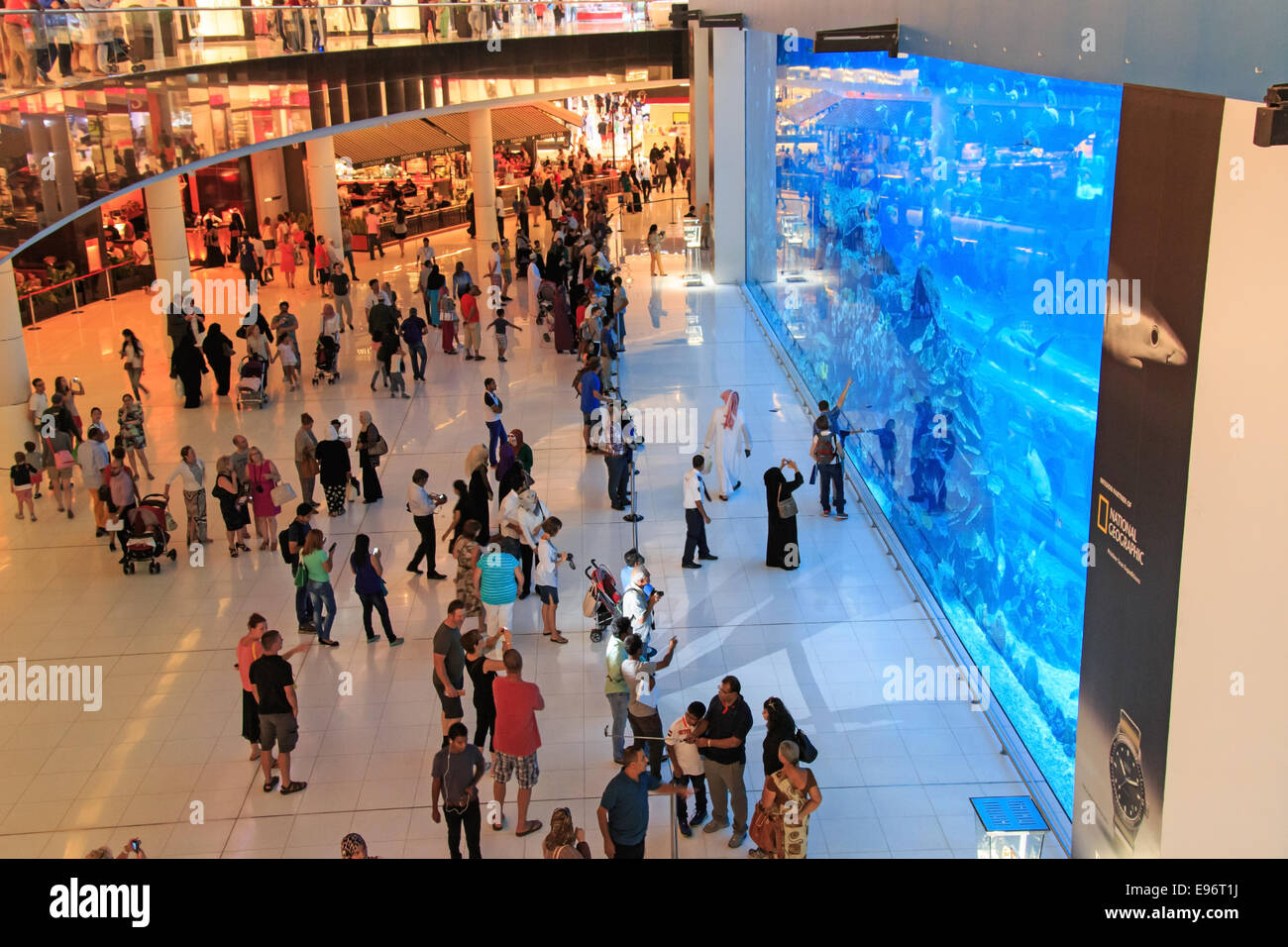 DUBAI, UAE - October 07,2014 : Aquarium in Dubai Mall - world's largest shopping mall , Downtown Burj Dubai in Dubai, United Ara Stock Photo